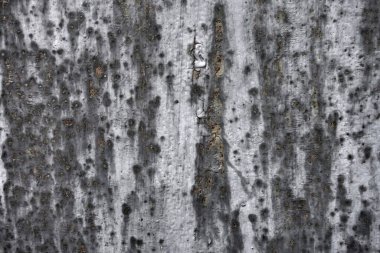 Beton duvar desenli arka plan