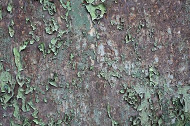 Beton duvar desenli arka plan