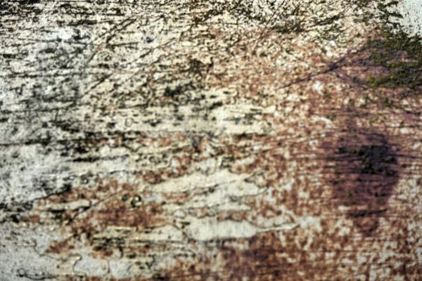 Τσιμεντένιο Τοίχωμα Ανάγλυφο Φόντο — Φωτογραφία Αρχείου