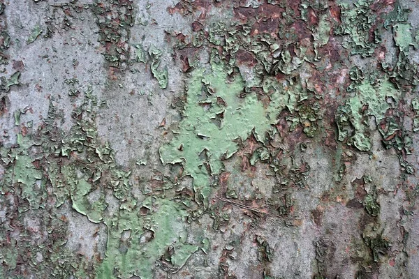 Fondo Texturizado Pared Hormigón — Foto de Stock