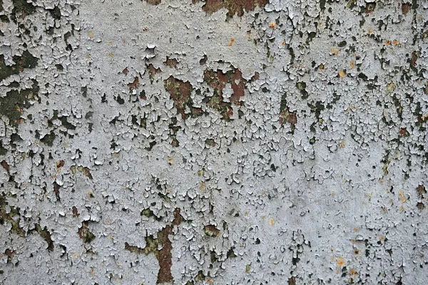 Beton duvar desenli arka plan