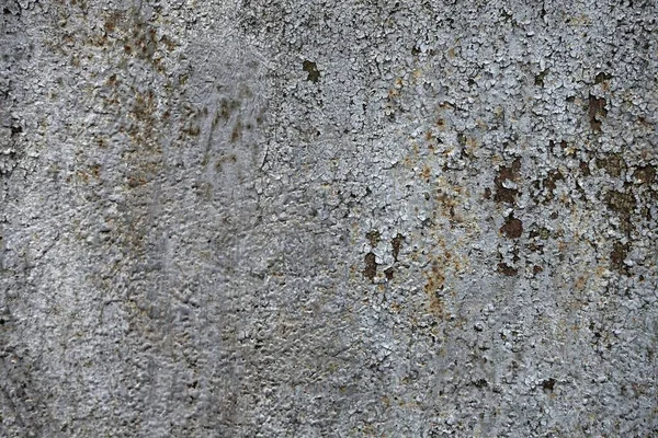 Betonwand Strukturiert Hintergrund — Stockfoto