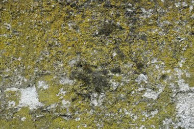 beton duvar arkaplan görüntüsü