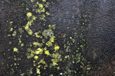 Beton duvar desenli arka plan