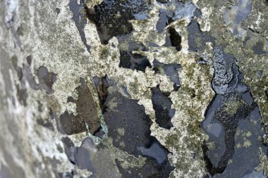 Beton duvar desenli arka plan