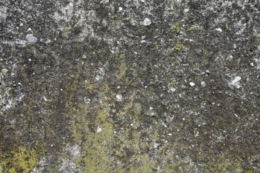 beton duvar arkaplan görüntüsü