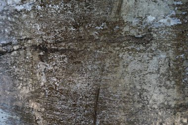 Beton duvar desenli arka plan