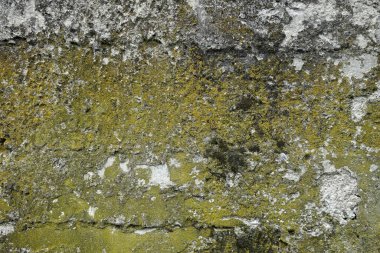 beton duvar arkaplan görüntüsü