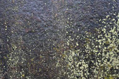 Beton duvar desenli arka plan