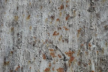 Beton duvar desenli arka plan