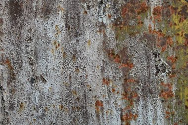 Beton duvar desenli arka plan