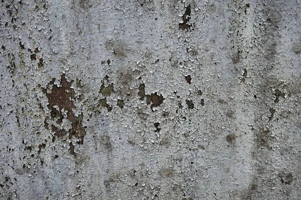 Betonwand Strukturiert Hintergrund — Stockfoto