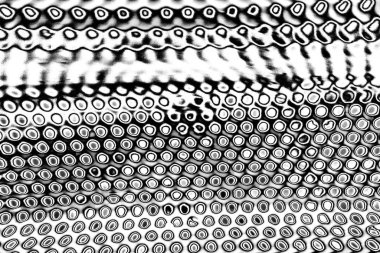 Soyut grunge arkaplanı. Monokrom dokusu. Siyah ve beyaz desenli arkaplan