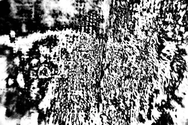 Fondo Grunge Abstracto Textura Monocromática Fondo Texturizado Blanco Negro —  Fotos de Stock