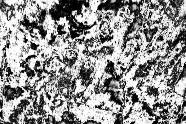 Fundo Grunge Abstrato Textura Monocromática Preto Branco Texturizado Fundo — Fotografia de Stock