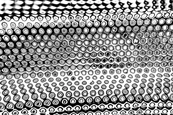 Soyut grunge arkaplanı. Monokrom dokusu. Siyah ve beyaz desenli arkaplan