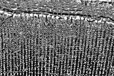 Soyut grunge arkaplanı. Monokrom dokusu. Siyah ve beyaz desenli arkaplan