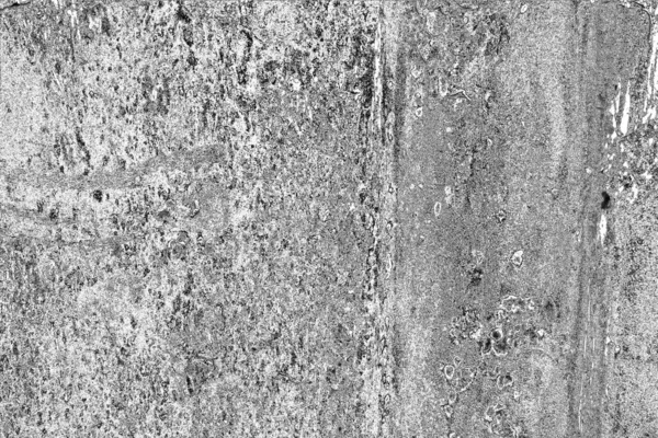 Fondo Grunge Abstracto Fondo Texturizado Blanco Negro — Foto de Stock