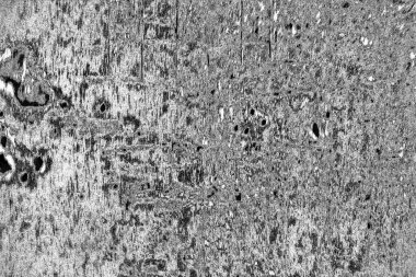 Soyut grunge arkaplanı. Siyah beyaz desenli arkaplan