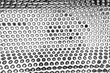 Soyut grunge arkaplanı. Monokrom dokusu. Siyah ve beyaz desenli arkaplan