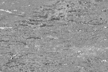 Soyut grunge arkaplanı. Monokrom dokusu. Siyah ve beyaz desenli arkaplan