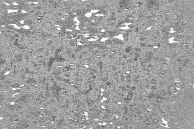 Soyut grunge arkaplanı. Monokrom dokusu. Siyah ve beyaz desenli arkaplan