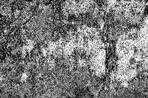 Abstracte Grunge Achtergrond Monochrome Textuur Zwart Wit Textuur Achtergrond — Stockfoto