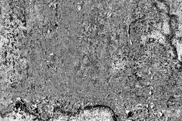 Abstract Grunge Background Black White Textured Backdrop — Stock Photo, Image