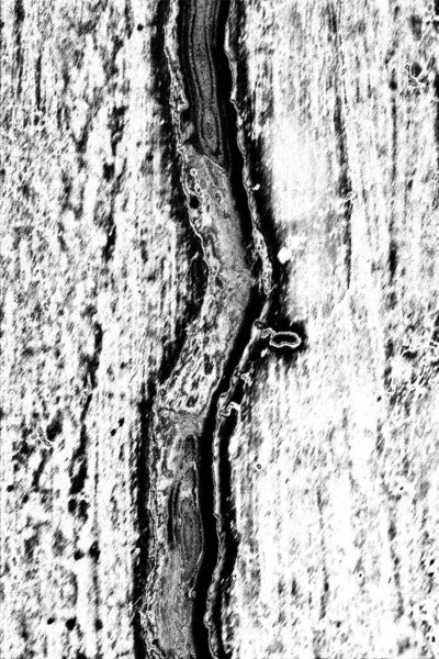 Fondo Grunge Abstracto Fondo Texturizado Blanco Negro — Foto de Stock