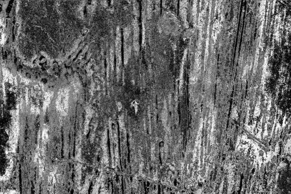 Abstraktní Grunge Pozadí Monochromní Textura Černobílé Texturované Pozadí — Stock fotografie