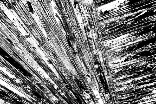 Fondo Grunge Abstracto Fondo Texturizado Blanco Negro — Foto de Stock