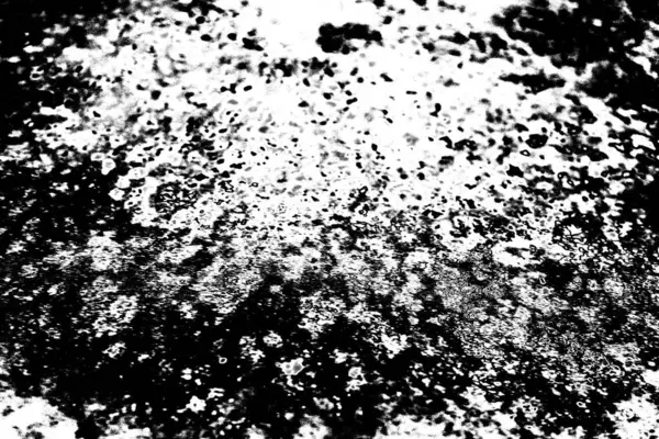 Résumé Fond Grunge Texture Monochrome Fond Texturé Noir Blanc — Photo