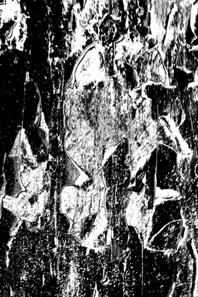 Fondo Grunge Abstracto Textura Monocromática Fondo Texturizado Blanco Negro —  Fotos de Stock