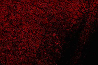 Soyut grunge arkaplanı. Monokrom dokusu. Siyah ve kırmızı desenli arka plan