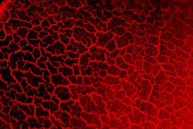 Soyut grunge arkaplanı. Monokrom dokusu. Siyah ve kırmızı desenli arka plan