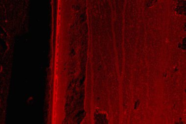 Soyut grunge arkaplanı. Monokrom dokusu. Siyah ve kırmızı desenli arka plan