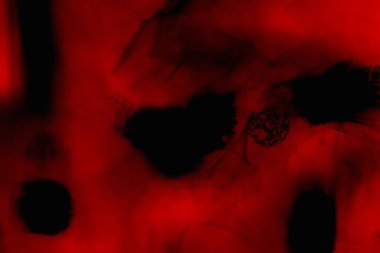 Soyut grunge arkaplanı. Monokrom dokusu. Siyah ve kırmızı desenli arka plan