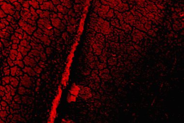 Soyut grunge arkaplanı. Monokrom dokusu. Siyah ve kırmızı desenli arka plan