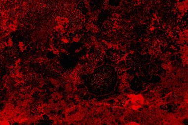 Soyut grunge arkaplanı. Monokrom dokusu. Siyah ve kırmızı desenli arka plan