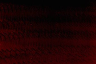 Soyut grunge arkaplanı. Monokrom dokusu. Siyah ve kırmızı desenli arka plan