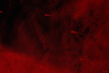 Soyut grunge arkaplanı. Monokrom dokusu. Siyah ve kırmızı desenli arka plan