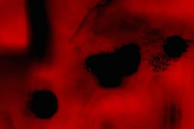 Soyut grunge arkaplanı. Monokrom dokusu. Siyah ve kırmızı desenli arka plan