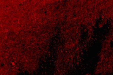 Soyut grunge arkaplanı. Monokrom dokusu. Siyah ve kırmızı desenli arka plan