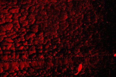 Soyut grunge arkaplanı. Monokrom dokusu. Siyah ve kırmızı desenli arka plan