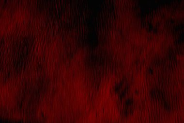 Soyut grunge arkaplanı. Monokrom dokusu. Siyah ve kırmızı desenli arka plan