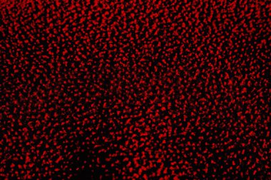 Soyut grunge arkaplanı. Monokrom dokusu. Siyah ve kırmızı desenli arka plan