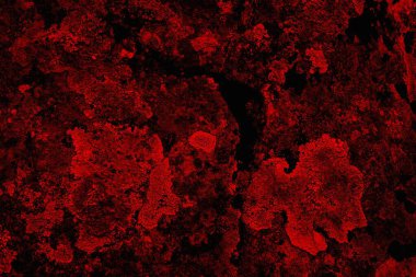 Soyut grunge arkaplanı. Monokrom dokusu. Siyah ve kırmızı desenli arka plan