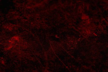 Soyut grunge arkaplanı. Monokrom dokusu. Siyah ve kırmızı desenli arka plan