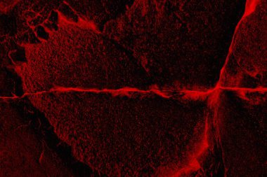 Soyut grunge arkaplanı. Monokrom dokusu. Siyah ve kırmızı desenli arka plan