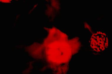 Soyut grunge arkaplanı. Monokrom dokusu. Siyah ve kırmızı desenli arka plan